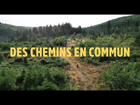 Bande annonce - Des chemins en commun