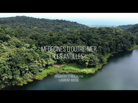 Médecines d&#039;outre-mer, Les Antilles