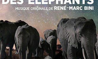 La nuit des éléphants